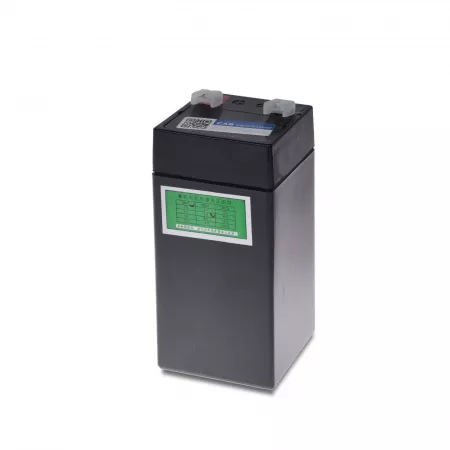 Balance plateforme multifonctions avec grand plateau - CAS DB-II SR | Balances pro