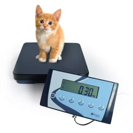 Balances plate-forme colis|Balances pro