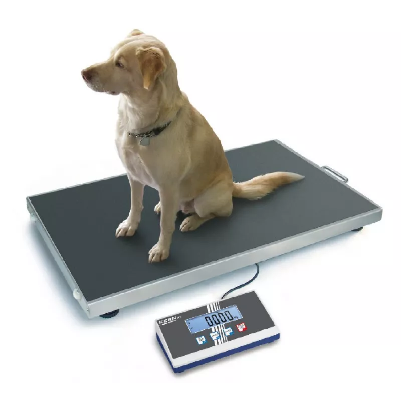 Balance plateforme en acier inoxydable KERN EOS | Balances pro