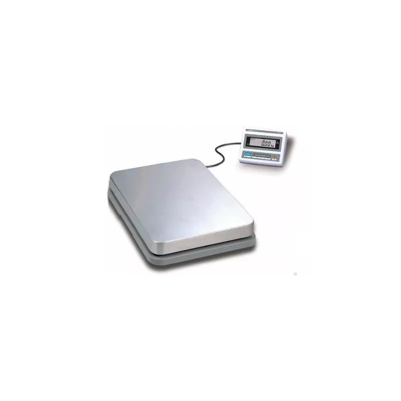 Balance plateforme multifonctions avec grand plateau - CAS DB-II SR | Balances pro
