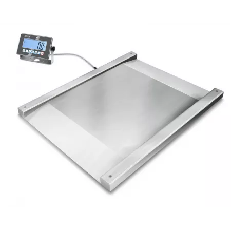 Plate-forme avec structure en acier (600kg) BAXTRAN ZFD | Balances pro