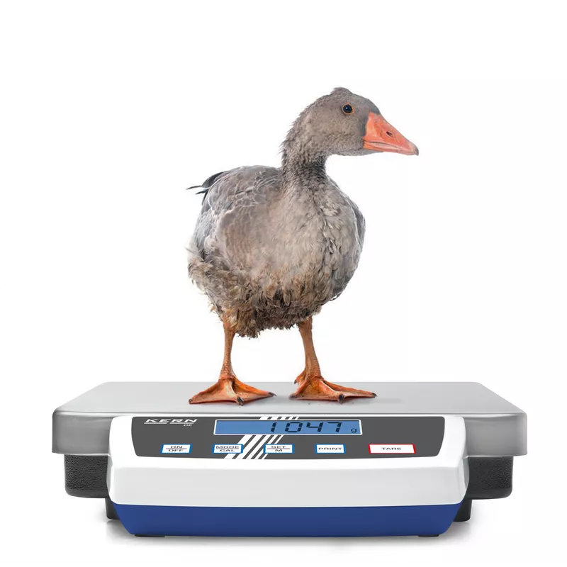 Balance plate-forme en acier inoxydable KERN DE-D pour industrie, colis | Balances pro