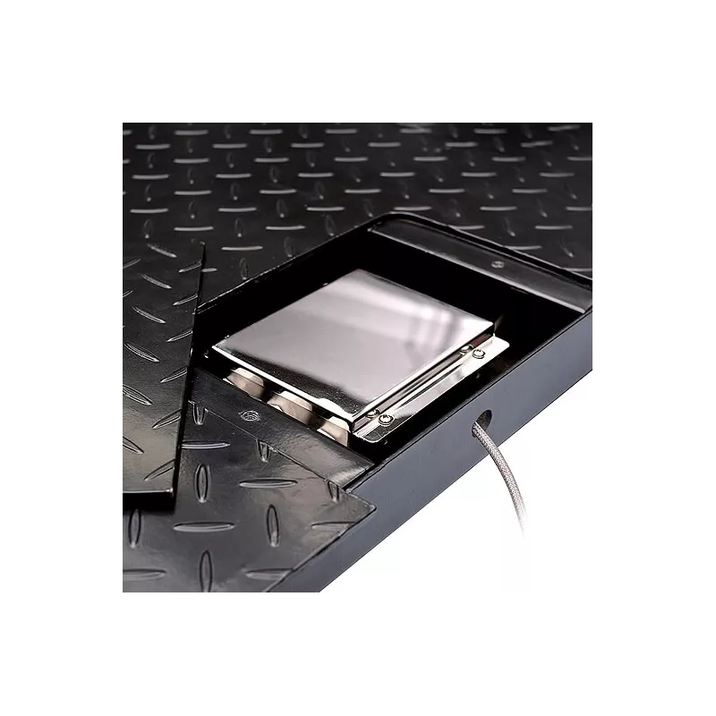 Pèse-palettes lavable au jet Defender™ 5000 – DFP52 | Balances pro
