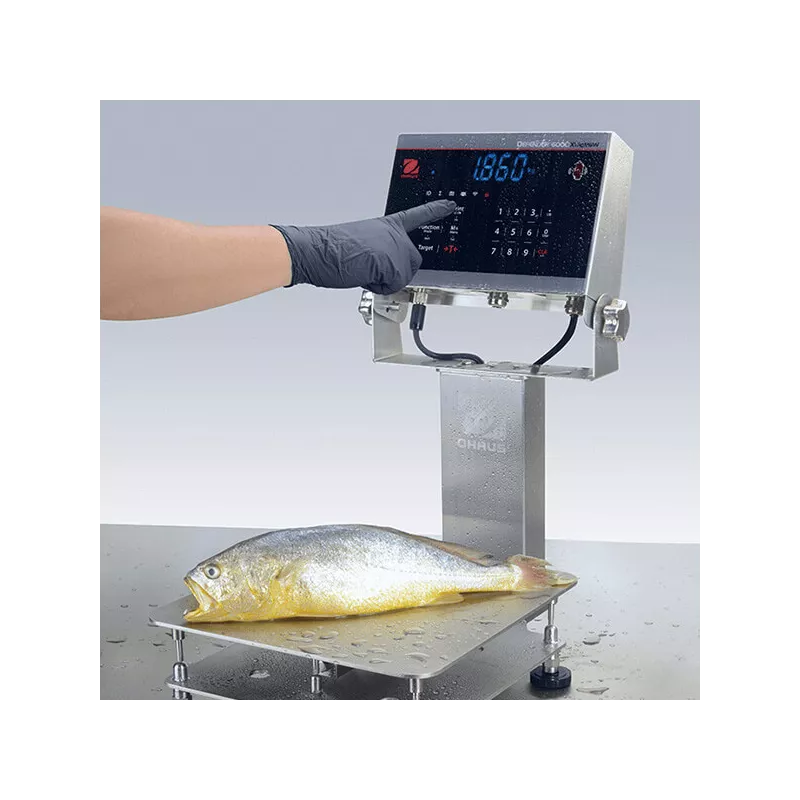 Indicateur OHAUS DEFENDER™6000 i-DT61XWE | Balances pro