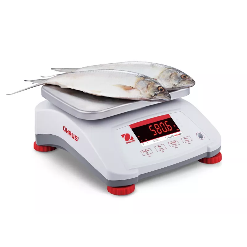 Balance alimentaire étanche OHAUS VALOR® 4000 ABS | Balances pro
