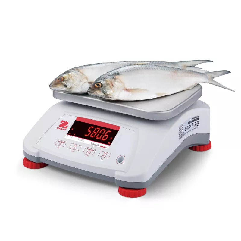 Balance alimentaire étanche OHAUS VALOR® 4000 ABS | Balances pro