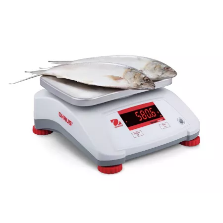 Plate-forme en acier inoxydable (30kg-600kg) BAXTRAN TMZ | Balances pro