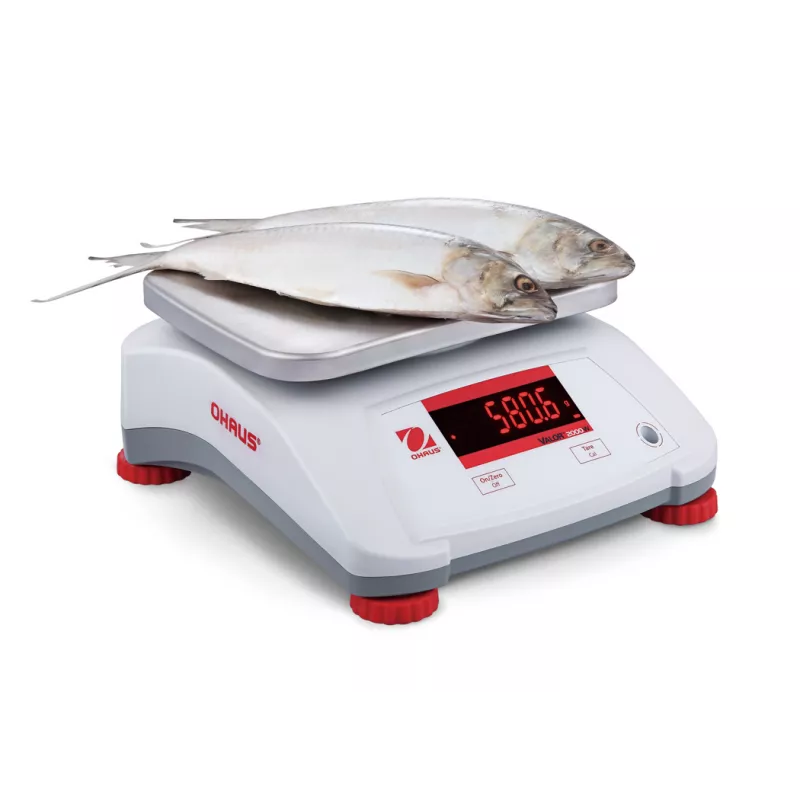 Balance alimentaire rapide et durable OHAUS VALOR™ 2000 ABS | Balances pro