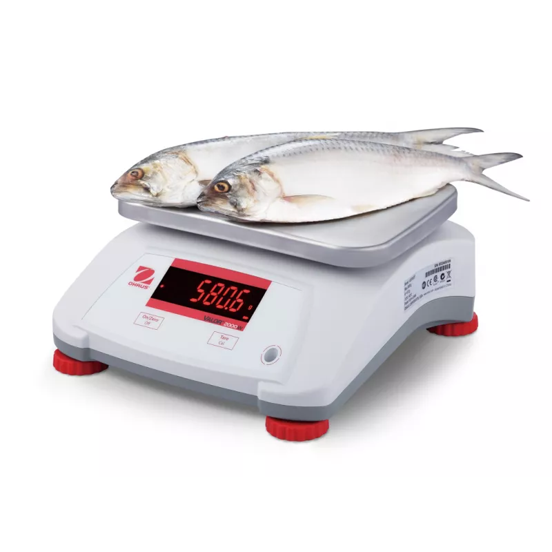Balance alimentaire rapide et durable OHAUS VALOR™ 2000 ABS | Balances pro
