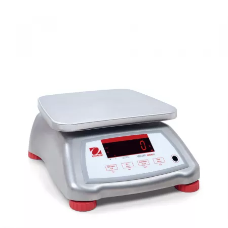 Plate-forme en acier inoxydable (30kg-600kg) BAXTRAN TMZ | Balances pro