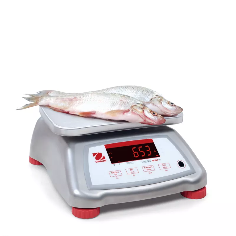 Balance alimentaire et étanche OHAUS VALOR® 4000 INOX | Balances pro