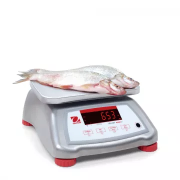 Balance alimentaire et étanche OHAUS VALOR® 4000 INOX | Balances pro