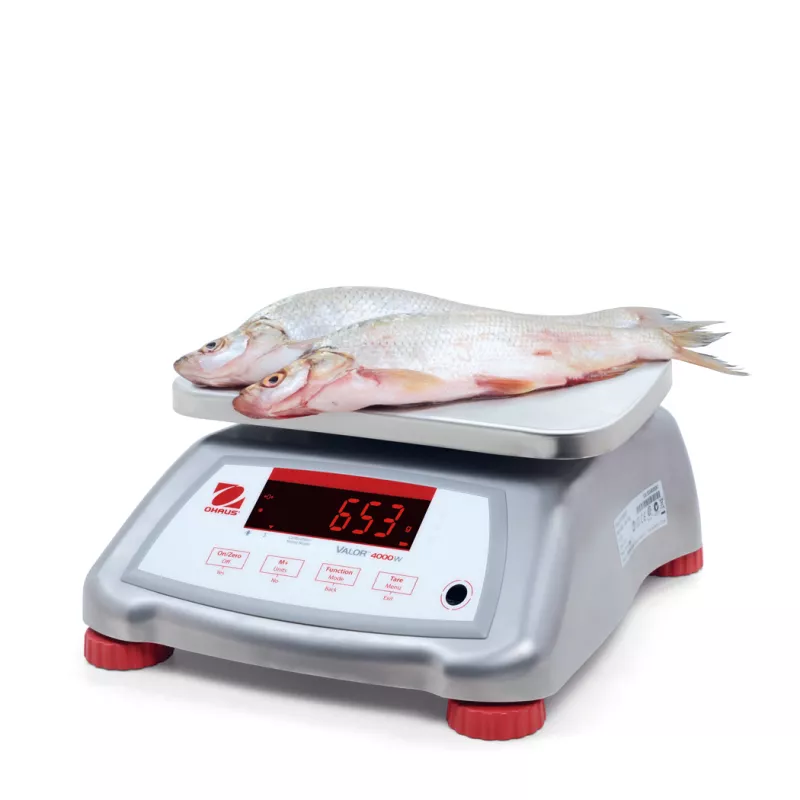 Balance alimentaire et étanche OHAUS VALOR® 4000 INOX | Balances pro