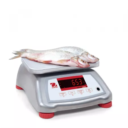 Balance plateforme en acier inoxydable KERN EFC | Balances pro