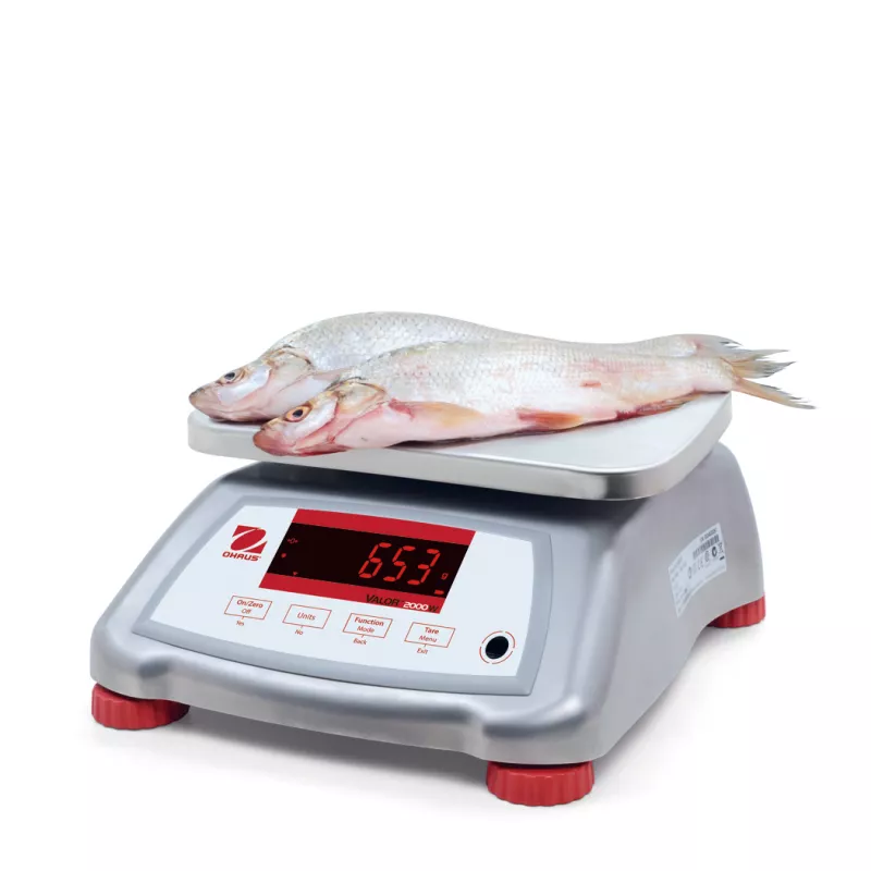 Balance alimentaire rapide et durable OHAUS VALOR™ 2000 INOX | Balances pro