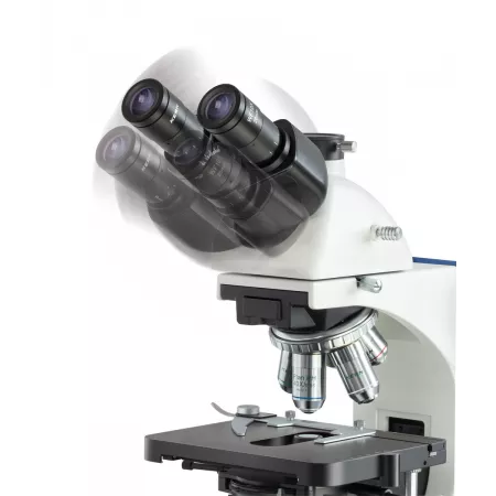 Oculaires|Balances pro