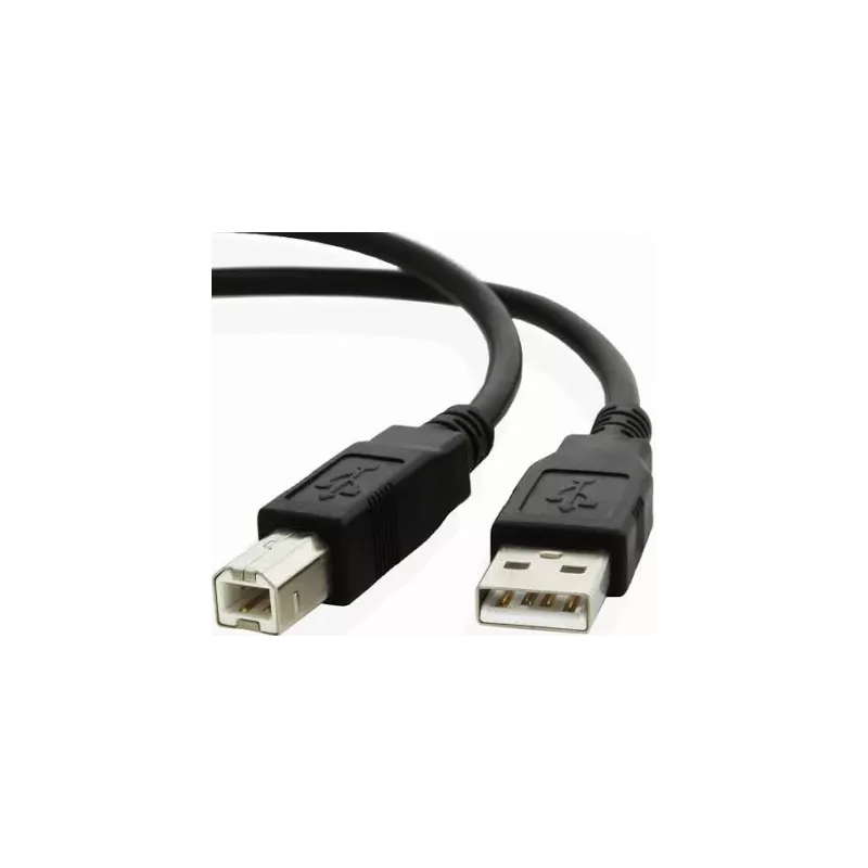 Câble USB (TYPE B, Communication PC) - CAB-USB-AB5 | Balances pro