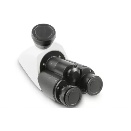 Oculaire de microscope (Ø 30.5 mm): WF 10× / Ø 20 mm - OZB-A4102 | Balances pro