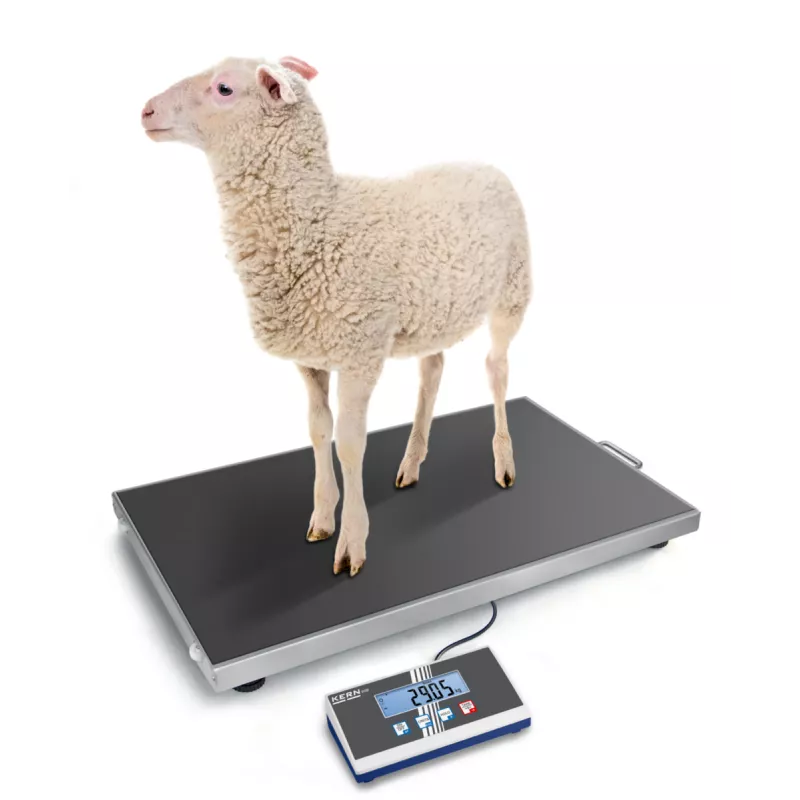 Balance vétérinaire KERN EOS | Balances pro