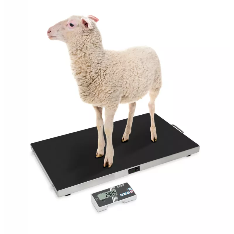 Balance vétérinaire KERN EOS-A | Balances pro