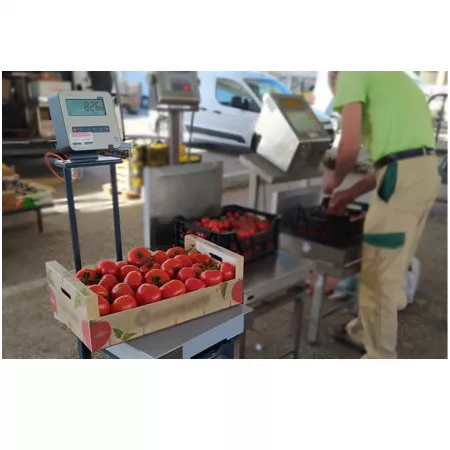 %product-name% %separator% %shop-name%