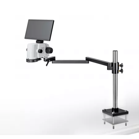 LABORATOIRE|Balances pro