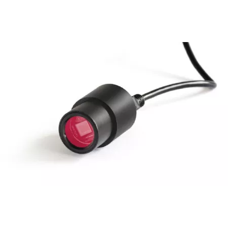 %product-name% %separator% %shop-name%