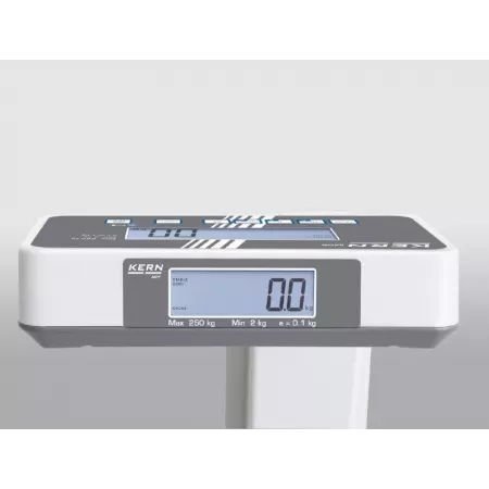 Balance impédancemètre mesure le pourcentage de masse graisseuse |Balances pro