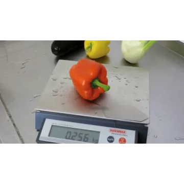 Balance compacte pour application en zone humide SOEHNLE 9115 | Balances pro
