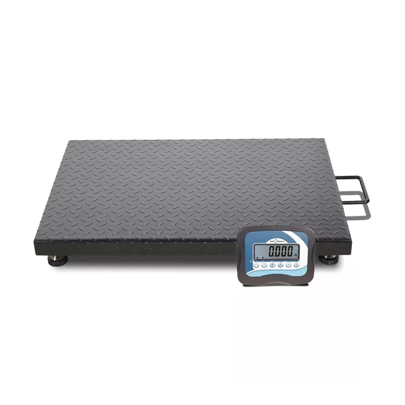Plate-forme avec structure en acier (600kg) BAXTRAN ZFD | Balances pro