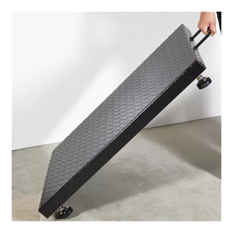 Plate-forme avec structure en acier (600kg) BAXTRAN ZFD | Balances pro