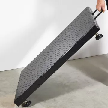 Plate-forme avec structure en acier (600kg) BAXTRAN ZFD | Balances pro