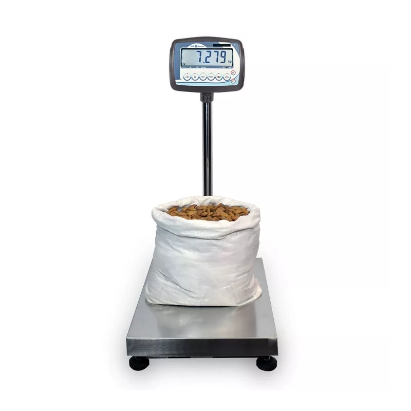 Plate-forme en acier inoxydable (30kg-600kg) BAXTRAN TMN | Balances pro