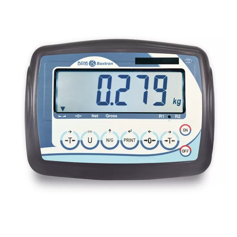 Plate-forme en acier inoxydable (30kg-600kg) BAXTRAN TMN | Balances pro